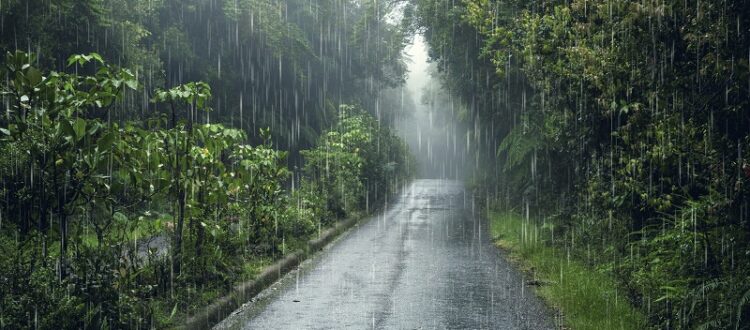Rain Alert