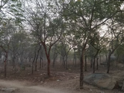 gurram guda forest land