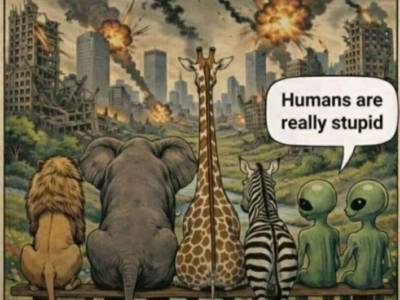 humans are stupids