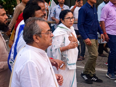 mamta banerjee